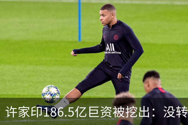 许家印186.5亿巨资被挖出：没转给丁玉梅，而是给了这位“老友”